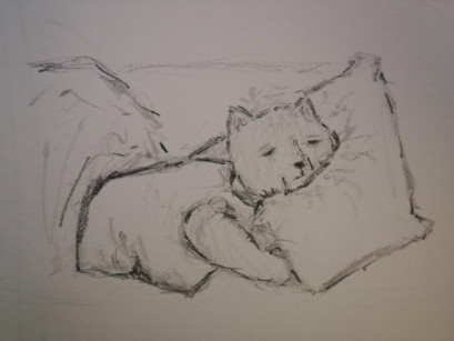 acw_adelaide_sleeping.jpeg